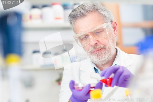 Image of Life scientist researching in the laboratory.