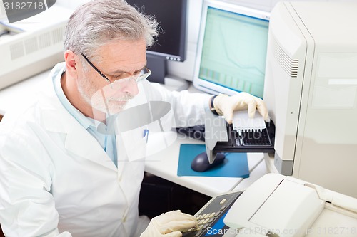 Image of Life scientist researching in the laboratory.