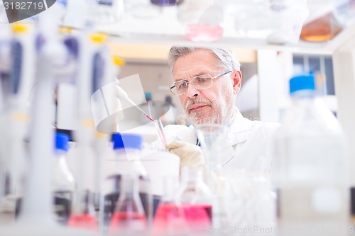 Image of Life scientist researching in the laboratory.