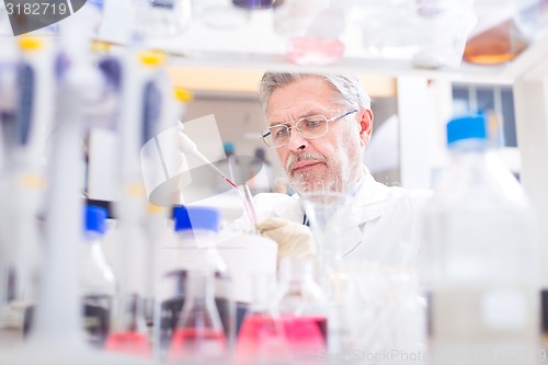 Image of Life scientist researching in the laboratory.