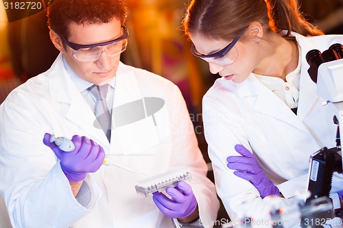 Image of Scientist pipetting.