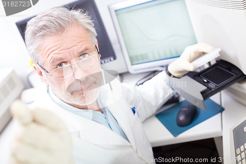 Image of Life scientist researching in the laboratory.