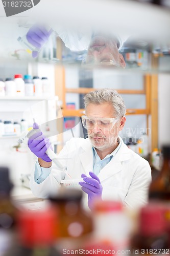 Image of Life scientist researching in the laboratory.