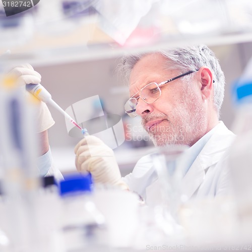 Image of Life scientist researching in the laboratory.