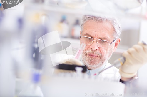 Image of Life scientist researching in the laboratory.