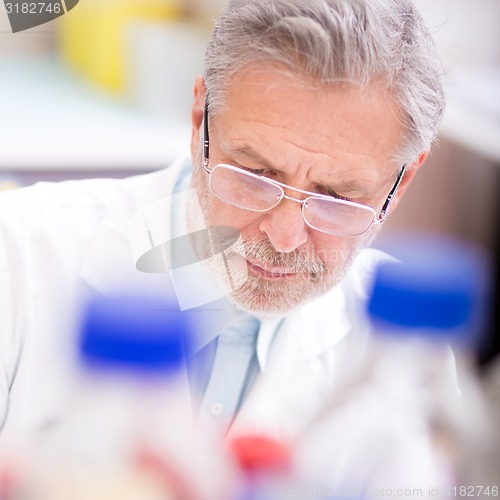 Image of Life scientist researching in the laboratory.