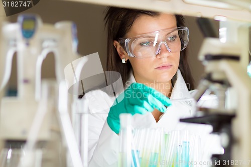 Image of Young chemist in the laboratory.