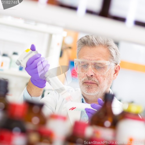 Image of Life scientist researching in the laboratory.