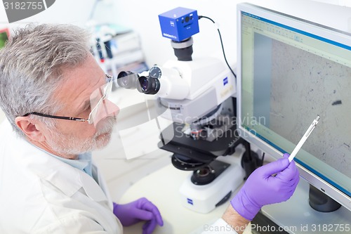 Image of Senior scientist  microscoping in lab.