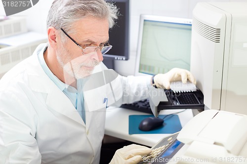 Image of Life scientist researching in the laboratory.