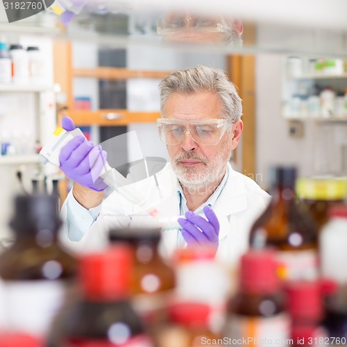 Image of Life scientist researching in the laboratory.