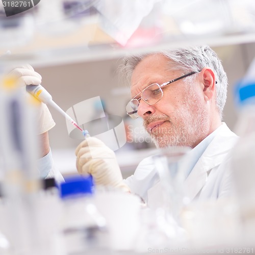 Image of Life scientist researching in the laboratory.