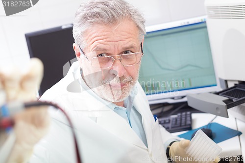 Image of Life scientist researching in the laboratory.