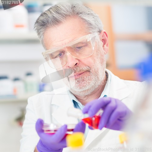 Image of Life scientist researching in the laboratory.