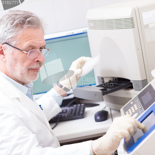 Image of Life scientist researching in the laboratory.