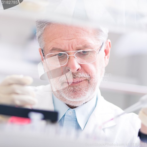 Image of Life scientist researching in the laboratory.