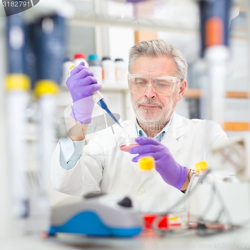 Image of Life scientist researching in the laboratory.