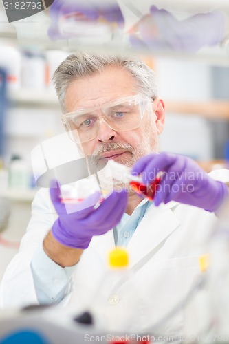 Image of Life scientist researching in the laboratory.