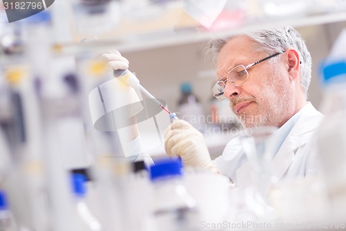 Image of Life scientist researching in the laboratory.