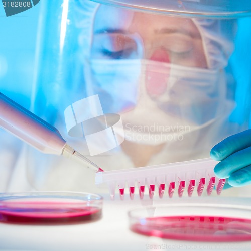 Image of Working in the laboratory with a high degree of protection