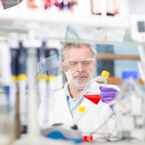 Image of Life scientist researching in the laboratory.