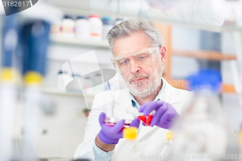 Image of Life scientist researching in the laboratory.