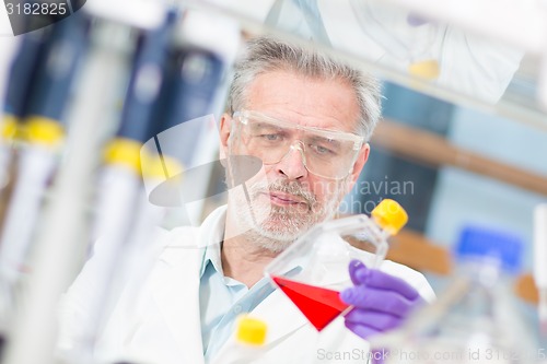 Image of Life scientist researching in the laboratory.