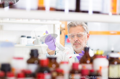 Image of Life scientist researching in the laboratory.