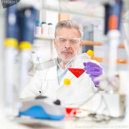 Image of Life scientist researching in the laboratory.