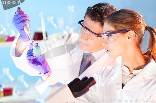 Image of Researcher observing indikator colour shift.