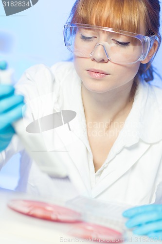 Image of Attractive young scientist pipetting.