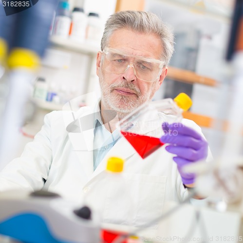 Image of Life scientist researching in the laboratory.