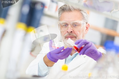 Image of Life scientist researching in the laboratory.
