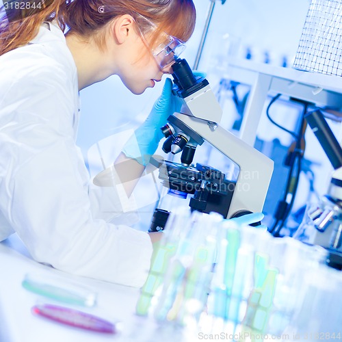 Image of Young chemist in the laboratory.