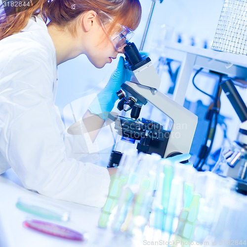 Image of Young chemist in the laboratory.