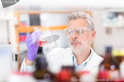 Image of Life scientist researching in the laboratory.