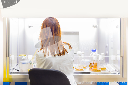 Image of Life scientist researching in the laboratory.