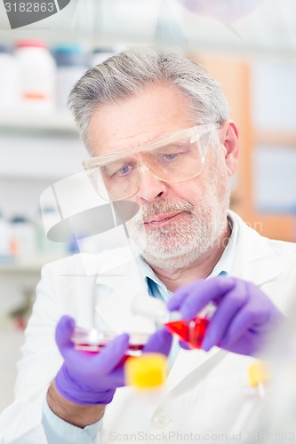 Image of Life scientist researching in the laboratory.