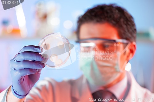 Image of Scientist observing petri dish.