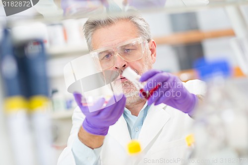 Image of Life scientist researching in the laboratory.