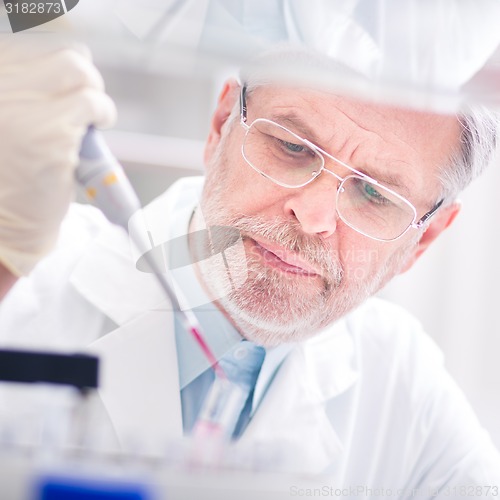 Image of Life scientist researching in the laboratory.