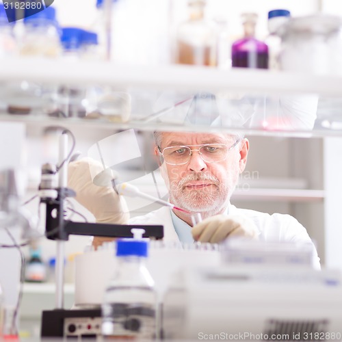 Image of Life scientist researching in the laboratory.