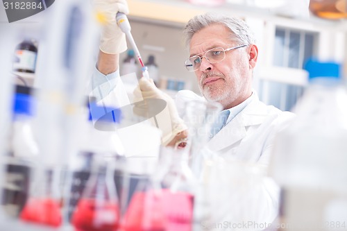 Image of Life scientist researching in the laboratory.