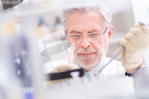 Image of Life scientist researching in the laboratory.