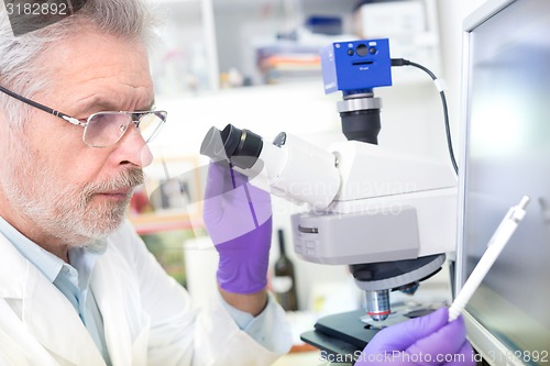 Image of Senior scientist  microscoping in lab.