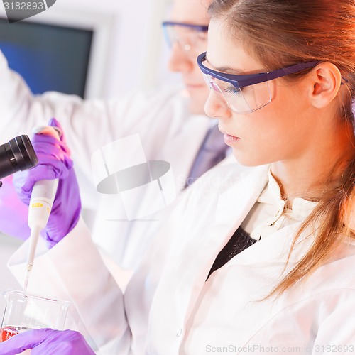 Image of Young scientist pipetting red solution.