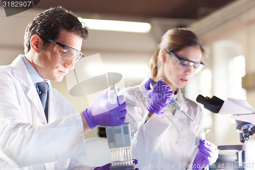 Image of Attractive young scientist pipetting.