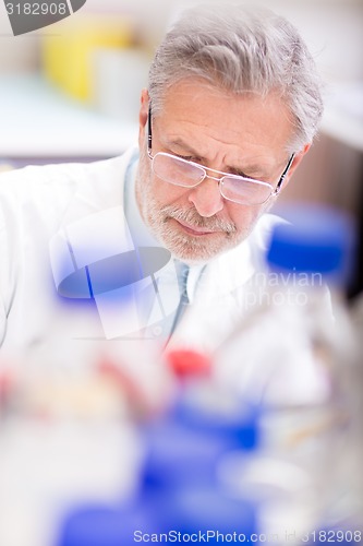 Image of Life scientist researching in the laboratory.