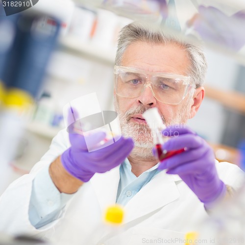 Image of Life scientist researching in the laboratory.