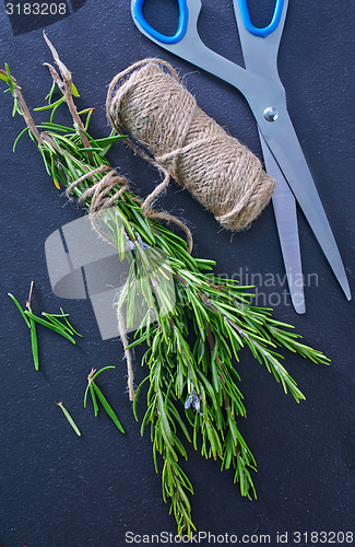 Image of rosemary